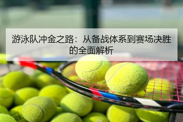 游泳队冲金之路：从备战体系到赛场决胜的全面解析