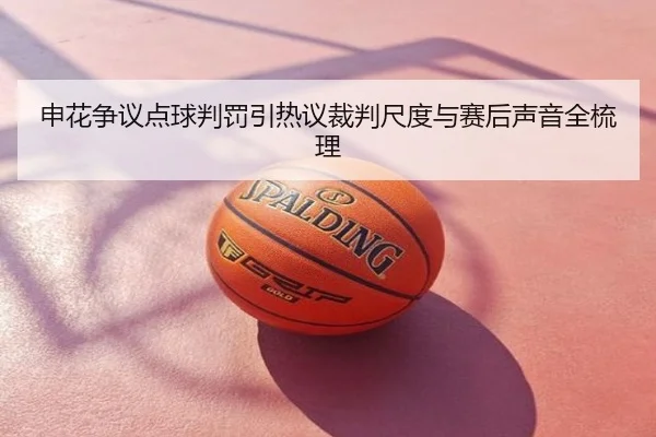申花争议点球判罚引热议裁判尺度与赛后声音全梳理