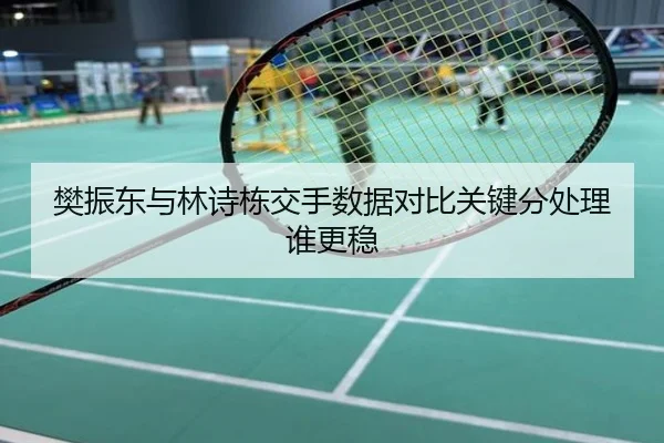 樊振东与林诗栋交手数据对比关键分处理谁更稳